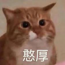 憨厚表情包图片- 求表情网,斗图从此不求人!