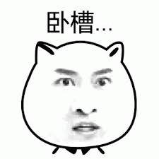卧槽...（尔康） 震惊猫脸表情包，配文“卧槽”，尽显惊讶神态表情包图片gif动图- 求表情网,斗图从此不求人!